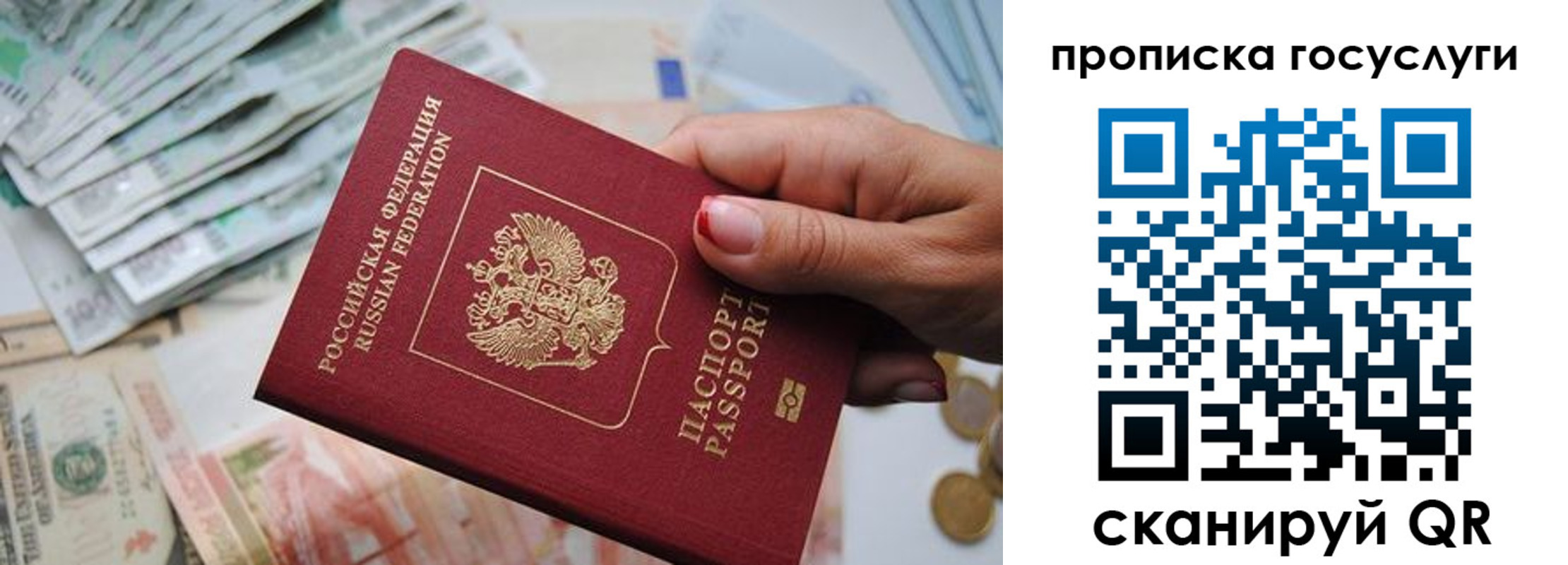 прописка поиск в Губкине